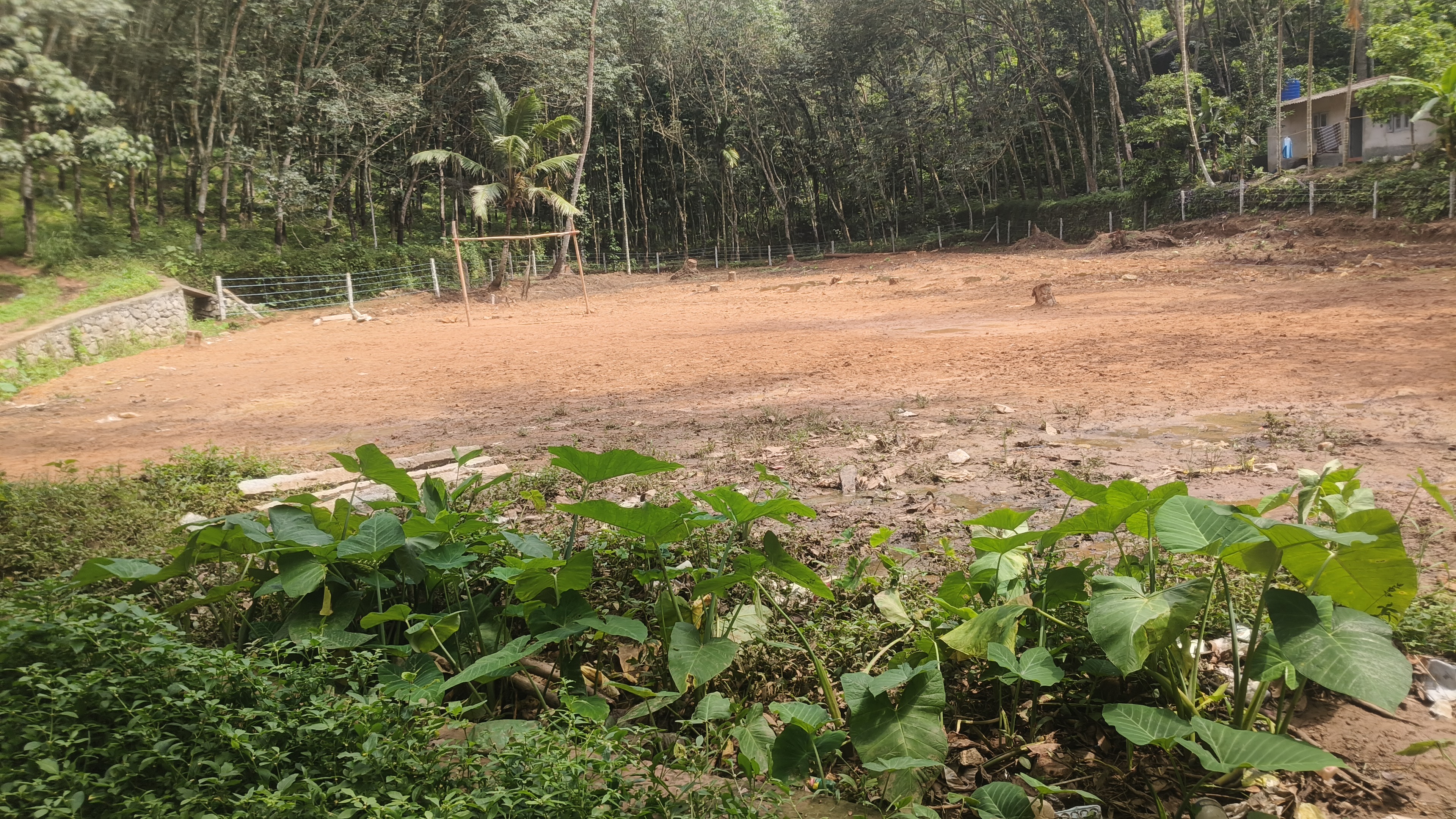 50.cent sales square plot.vellanad